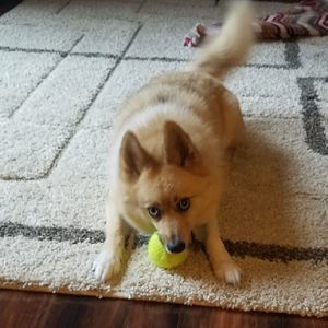 Meet your Posher, Jim